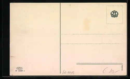 AK Meran, Ortsansicht aus der Vogelschau