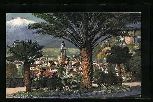AK Meran, Ortsansicht hinter Palmen