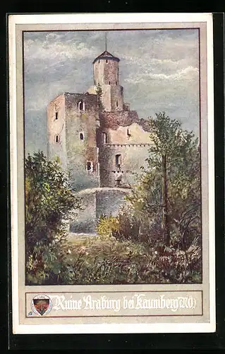 AK Deutscher Schulverein Nr.394: Ruine Araburg bei Kaumberg (NÖ)