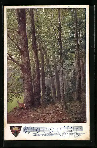 AK Deutscher Schulverein Nr.889: Rehe im Wiener Wald