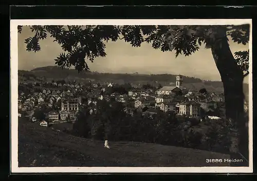 AK Heiden, Ortsansicht aus der Vogelschau