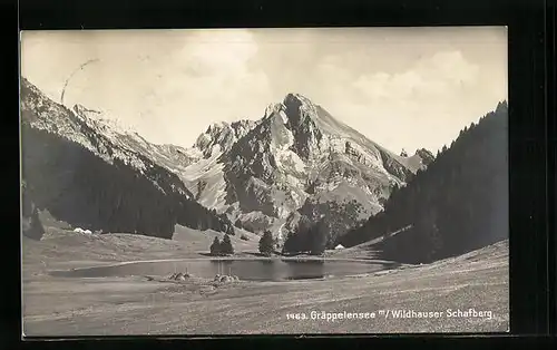 AK Wildhaus, Gräppelensee mit Wildhauser Schafberg