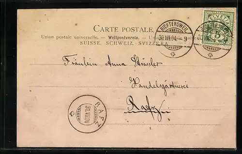 AK Richtersweil, Totalansicht aus der Vogelschau