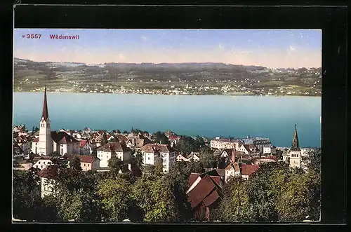 AK Wädenswil, Panorama
