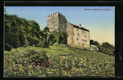 AK Habsburg, Blick zum Schloss