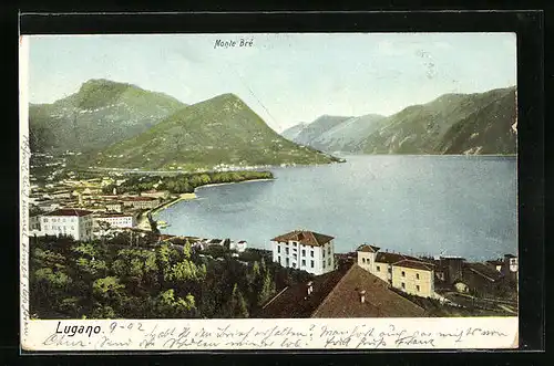 AK Lugano, Panorama