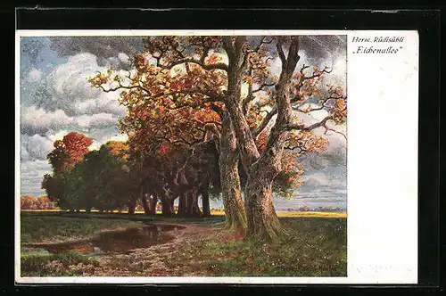Künstler-AK Hermann Rüdisühli: Eichenallee im Herbst