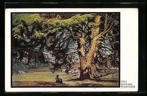 Künstler-AK sign. Conz: Frau an einer Schwarzwaldtanne
