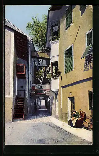 AK Brixen, Alte Birke auf der Mauer