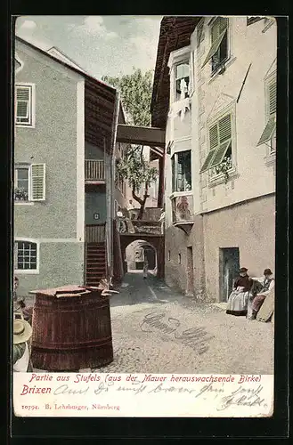 AK Brixen, Partie aus Stufels, aus der Mauer herauswachsende Birke