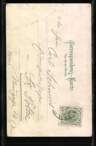 AK Brixen, Partie aus Stufels, aus der Mauer herauswachsende Birke