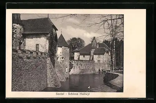 AK Seengen, Schloss Hallwyl