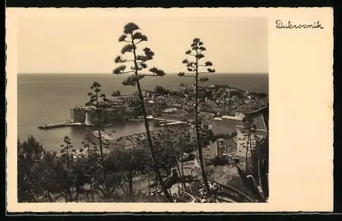 AK Dubrovnik, Blick von oben auf die Hafenstadt