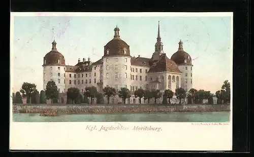 AK Moritzburg, Blick zum Kgl. Jagdschloss