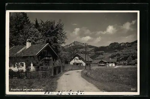 AK Auerbach, Ortspartie gegen Spitzstein