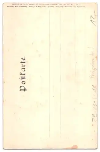 Relief-AK Bozen, Fleischgasse mit Torgglhaus