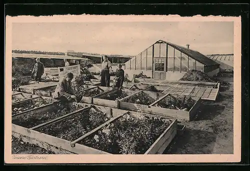 AK Berlin-Tegel, Knaben-Erziehungsheim, Grünes Haus