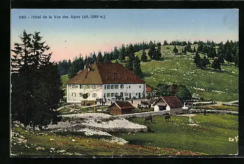 AK Neuchatel, Hotel de la Vue des Alpes
