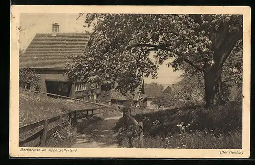 AK Heiden, Dorfstrasse mit Siedlungshäusern
