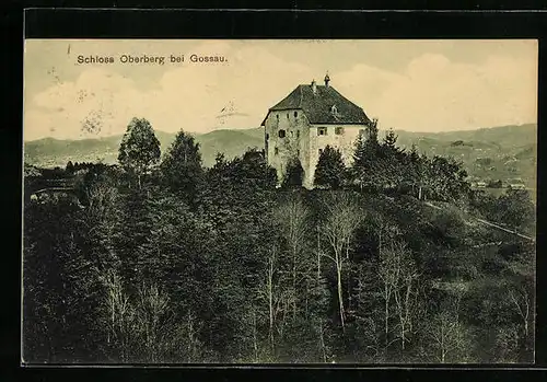 AK Gossau, Schloss Oberberg mit Umgebung