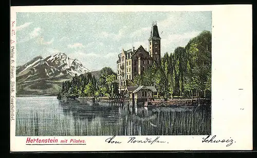 AK Hertenstein, Ortsansicht mit Pilatus