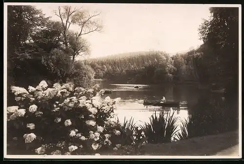 Fotografie Brück & Sohn Meissen, Ansicht Bad Elster, Blick auf den Gondelteich mit Rudernboot