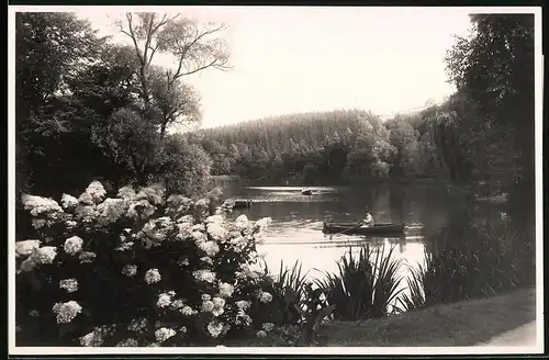 Fotografie Brück & Sohn Meissen, Ansicht Bad Elster, Partie am Gondelteich mit Ruderbooten