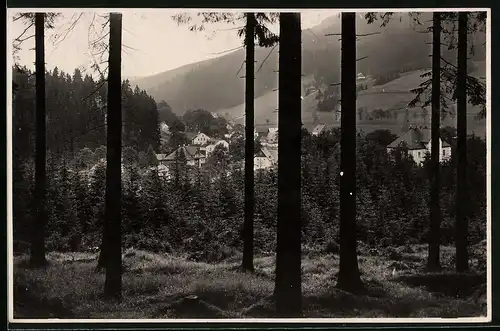 Fotografie Brück & Sohn Meissen, Ansicht Wildenthal i. Erzg., Blick aus dem Wald auf den Ort