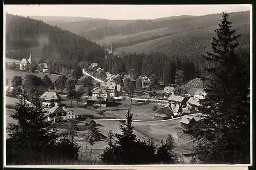 Fotografie Brück & Sohn Meissen, Ansicht Wildenthal i. Erzg., Blick auf den Ort mit Wohnhäusern