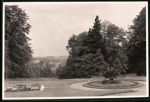 Fotografie Brück & Sohn Meissen, Ansicht Hainichen i. Sa., Partie im Stadtpark mit Blick auf die Stadt