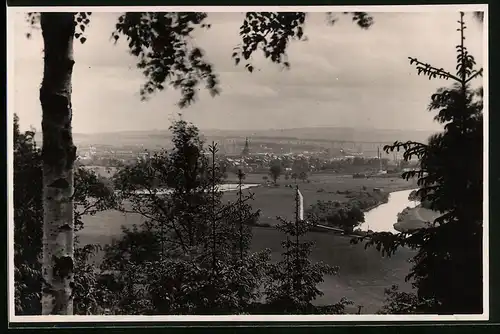 Fotografie Brück & Sohn Meissen, Ansicht Frankenberg i. Sa., Blick aus dem Wald auf die Stadt