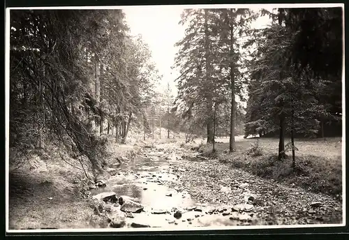 Fotografie Brück & Sohn Meissen, Ansicht Krummenhennersdorf, Blick auf die Grabentour im Wald