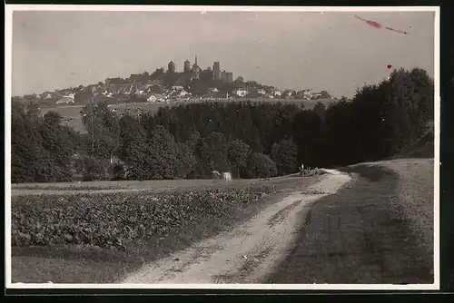 Fotografie Brück & Sohn Meissen, Ansicht Stolpen i. Sa., Blick vom Feld auf die Stadt mit Kuhweide