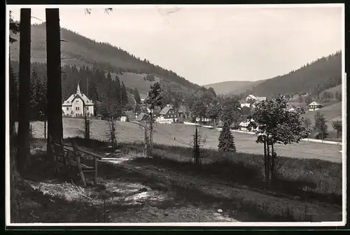 Fotografie Brück & Sohn Meissen, Ansicht Wildenthal, Blick aus dem Wald auf den Ort mit Wohnhäusern