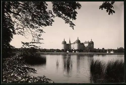 Fotografie Brück & Sohn Meissen, Ansicht Moritzburg b. Meissen, Blick über den See auf das Jagdschloss