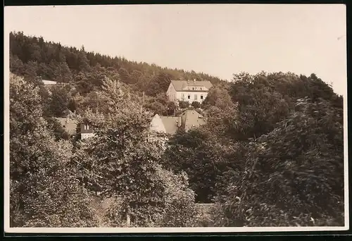 Fotografie Brück & Sohn Meissen, Ansicht Bad Elster, Blick auf das Haus Schillergarten