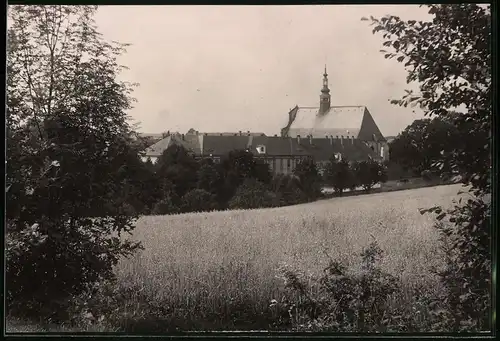 Fotografie Brück & Sohn Meissen, Ansicht Panschwitz, Blick auf das Kloster St. Marienstern mit Weizenfeld