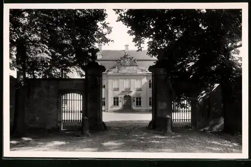 Fotografie Brück & Sohn Meissen, Ansicht Dahlen i. Sa., Blick auf das Schlossportal am Schloss