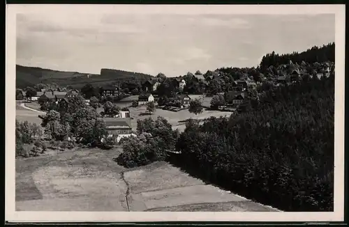 Fotografie Brück & Sohn Meissen, Ansicht Bärenfels i. Erzg., Blick in den Ort mit Wohnhäusern