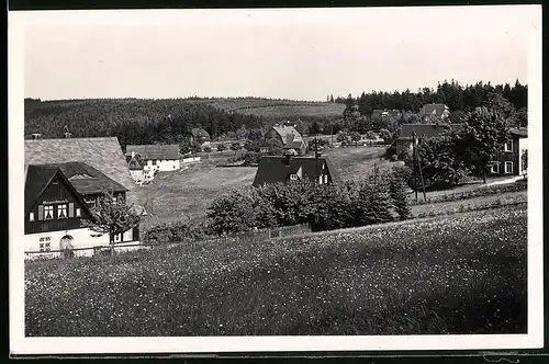 Fotografie Brück & Sohn Meissen, Ansicht Oberbärenburg i. Erzg., Blick in den Ort mit Haus Margarethenwiese