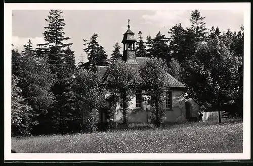 Fotografie Brück & Sohn Meissen, Ansicht Oberbärenburg i. Erzg., Blick auf die Katholische Kapelle