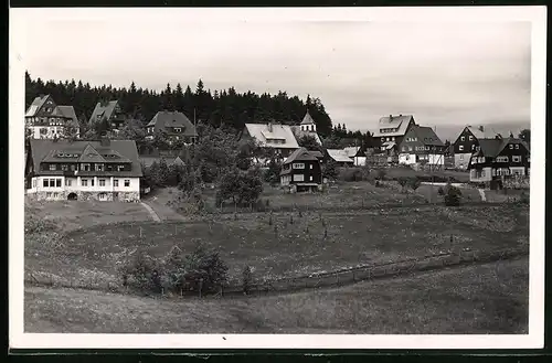 Fotografie Brück & Sohn Meissen, Ansicht Oberbärenburg i. Erzg., Blick auf die Villen im Ort