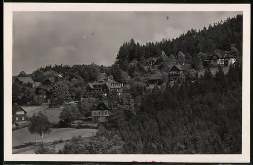 Fotografie Brück & Sohn Meissen, Ansicht Bärenfels i. Erzg., Blick in den Ort mit Wohnhäusern und Pensionen