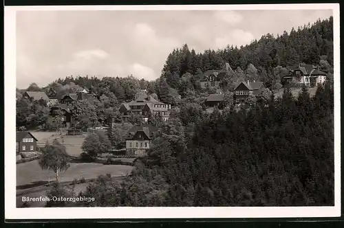 Fotografie Brück & Sohn Meissen, Ansicht Bärenfels i. Erzg., Ortsansicht mit Wohnhäusern