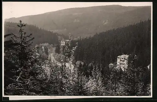 Fotografie Brück & Sohn Meissen, Ansicht Waldbärenburg i. Erzg., Blick vom Berg in das Tal mit Hotel