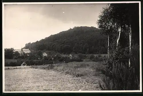 Fotografie Brück & Sohn Meissen, Ansicht Collm, Blick nach dem Ort und zum Collmberg