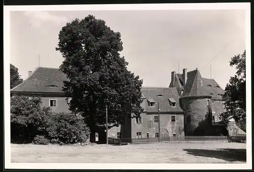 Fotografie Brück & Sohn Meissen, Ansicht Rothschönberg, Partie am Schloss Rothschönberg