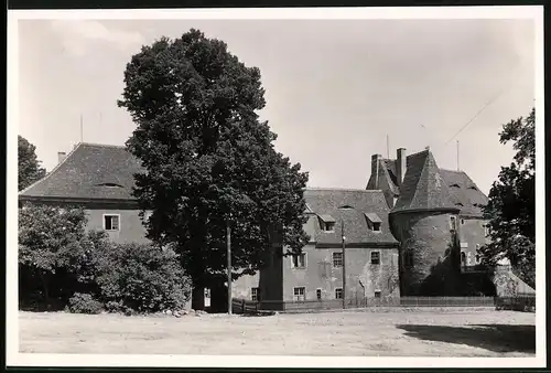 Fotografie Brück & Sohn Meissen, Ansicht Rothschönberg, Blick auf das ehemalige Schloss