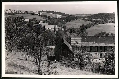 Fotografie Brück & Sohn Meissen, Ansicht Rothschönberg, Blick auf die Wohnhäuser im Triebischtal