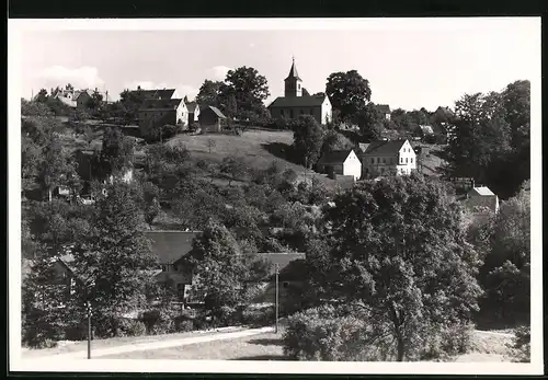 Fotografie Brück & Sohn Meissen, Ansicht Rothschönberg, Ortsansicht mit Wohnhäusern und Kirche